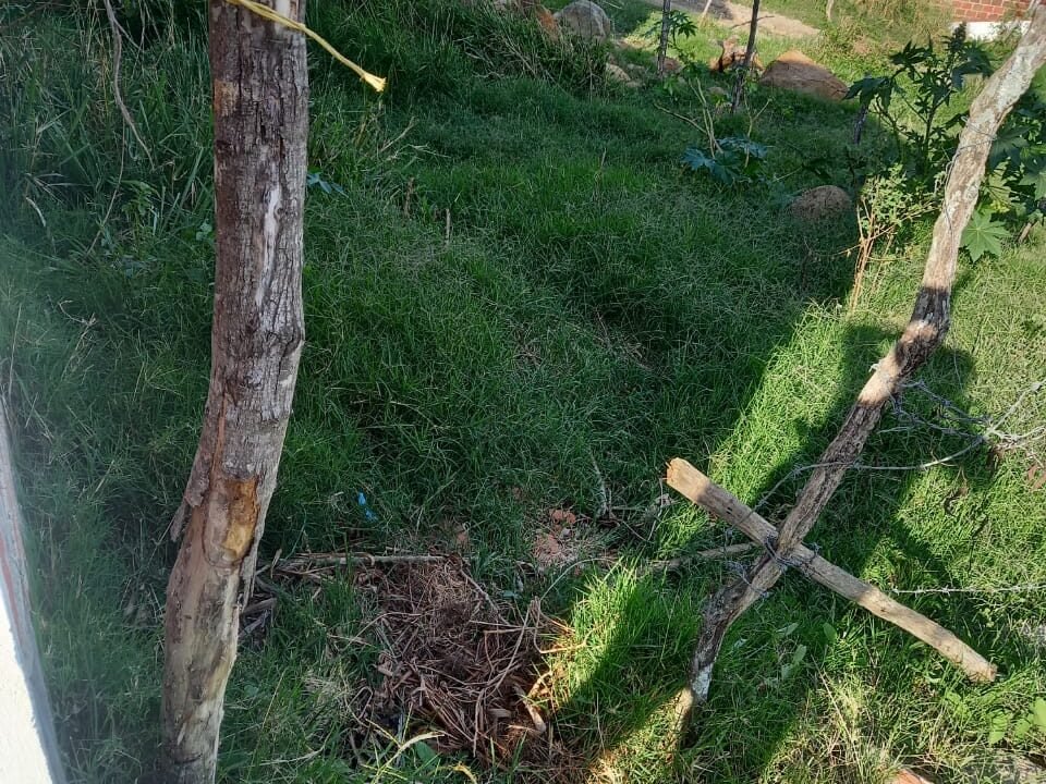 WhatsApp Image 2021-04-24 at 4.33.18 PM (1)