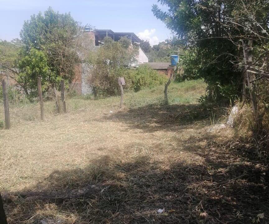 WhatsApp Image 2022-01-29 at 11.22.11 AM (1)